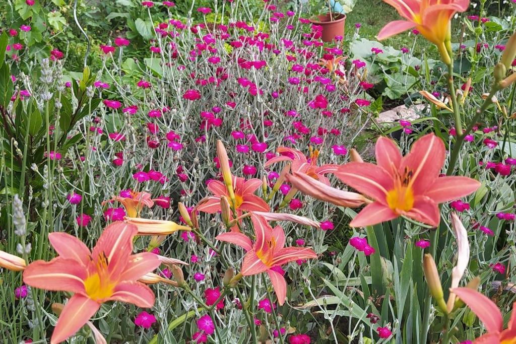 Gite Les Lilas La Genevraye Esterno foto